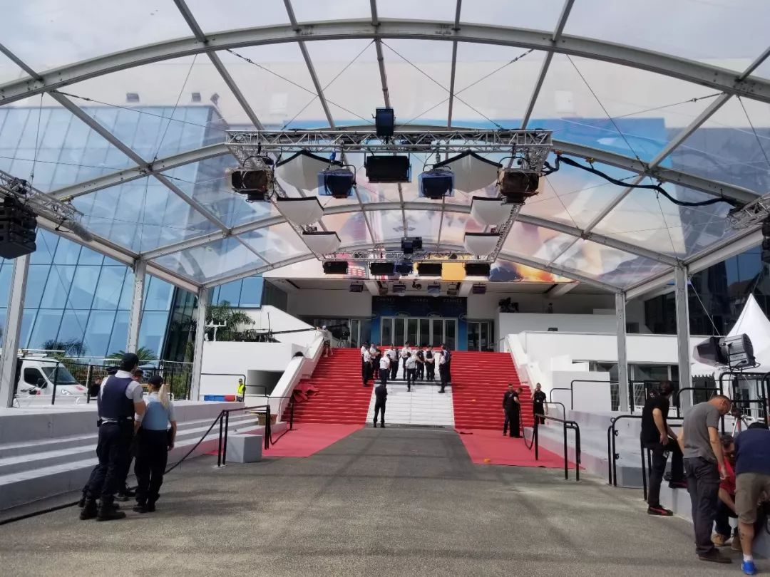 金棕榈是什么档次,金蝉玉叶需要多少钱