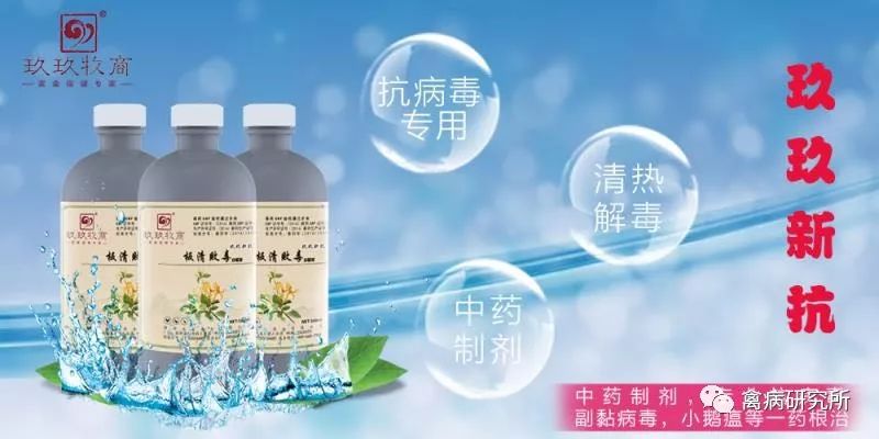 小鹅瘟疫为什么这么严重,小鹅苗近期生病是什么原因