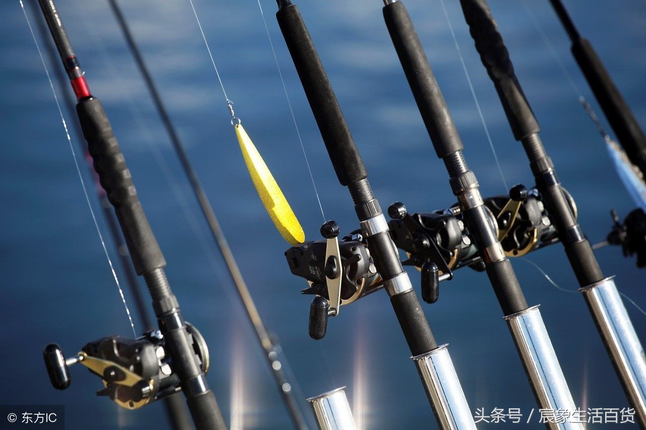 新手入门鱼竿品牌推荐,新手入门性价比最高的鱼竿