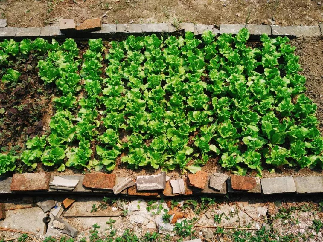 城市探索废墟探险,探索城市废墟