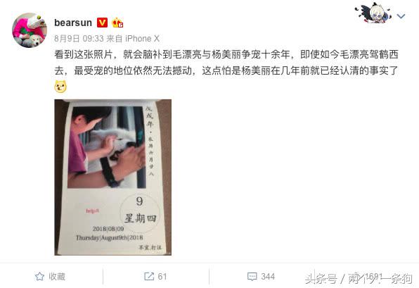 怀孕就不可以养狗？牵他进门就应照顾一生，养犬人都应该知道！