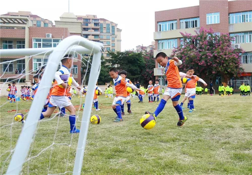 广东足球学校有哪几所,广东的足球学校有哪些