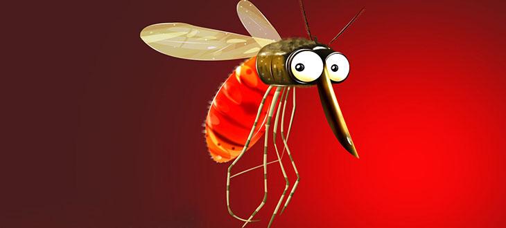 如何彻底消灭世界上所有的蚊子,要想消灭蚊子要克服恐惧