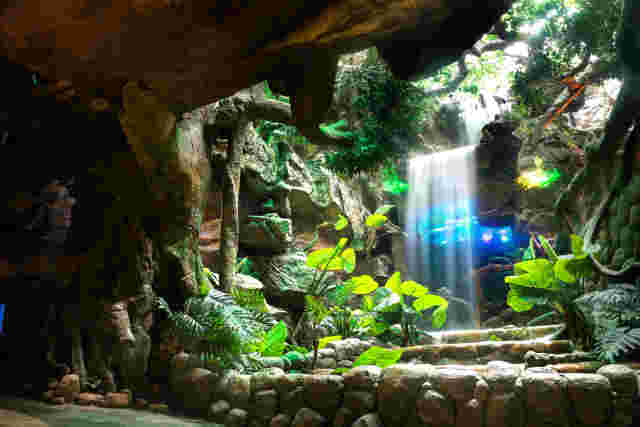 贵州旅游避暑推荐地点有哪些景点,贵州避暑旅游线路整理推荐