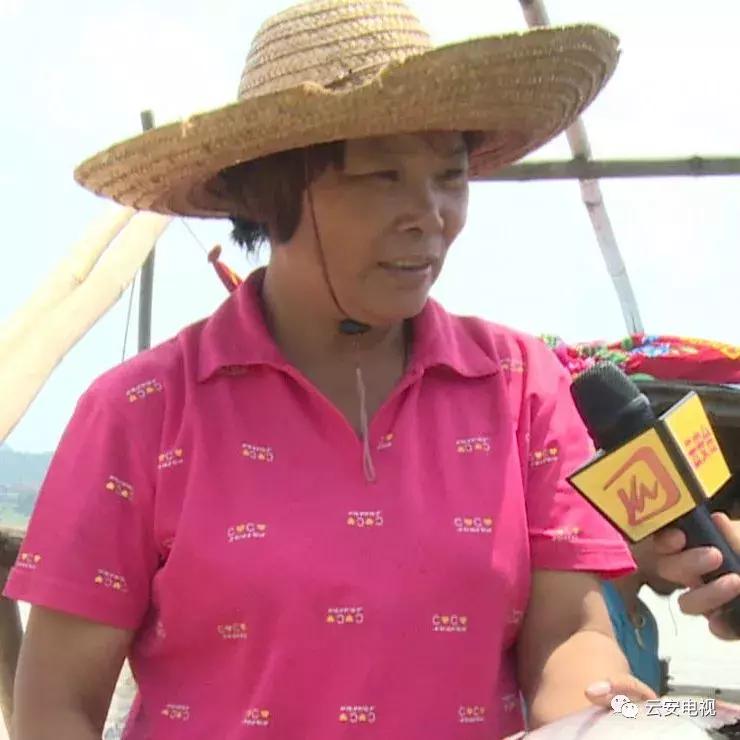 佛山南海九江的渔民在西江捕鱼,梧州西江渔民捕鱼