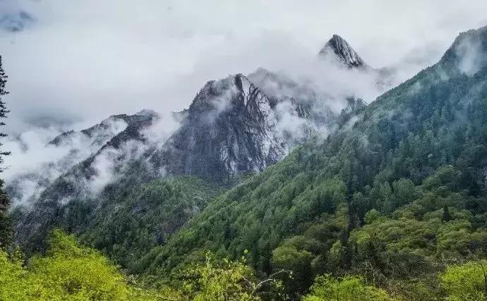 秒杀若尔盖！川西有个官方认定的最美草原，景美人少不收门票！