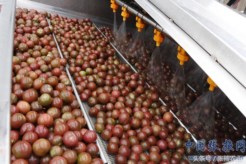 百e国际香港,百e国际平台