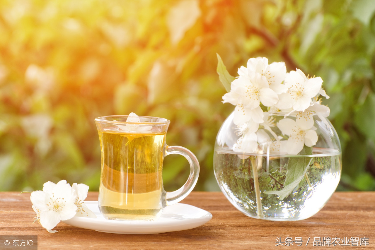 全国茶城茶叶市场最全名录,带大家看全国茶城