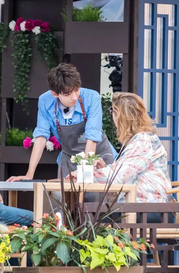 tfboys六周年介绍完整版,tfboys五周年花海