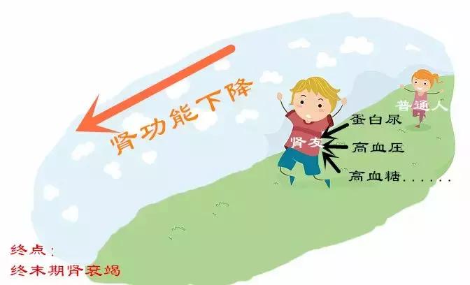 iga肾病快速降肌酐的药,得了肾病肌酐300能吃降肌酐药吗