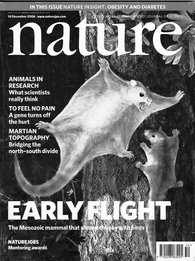 跟赵闯学画恐龙的视频,赵闯画恐龙