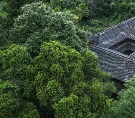 纯寺庙住宿推荐,最奢华的寺庙住宿