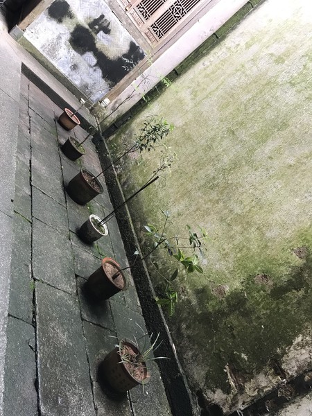 云深不知处格局,黄山风水奇穴