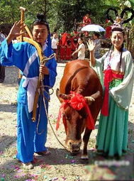 枫林诗苑诗词集,枫林诗苑经典