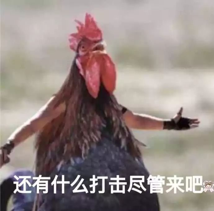 淘宝客服面对的疑难杂症 (淘宝客服一直不会说话)