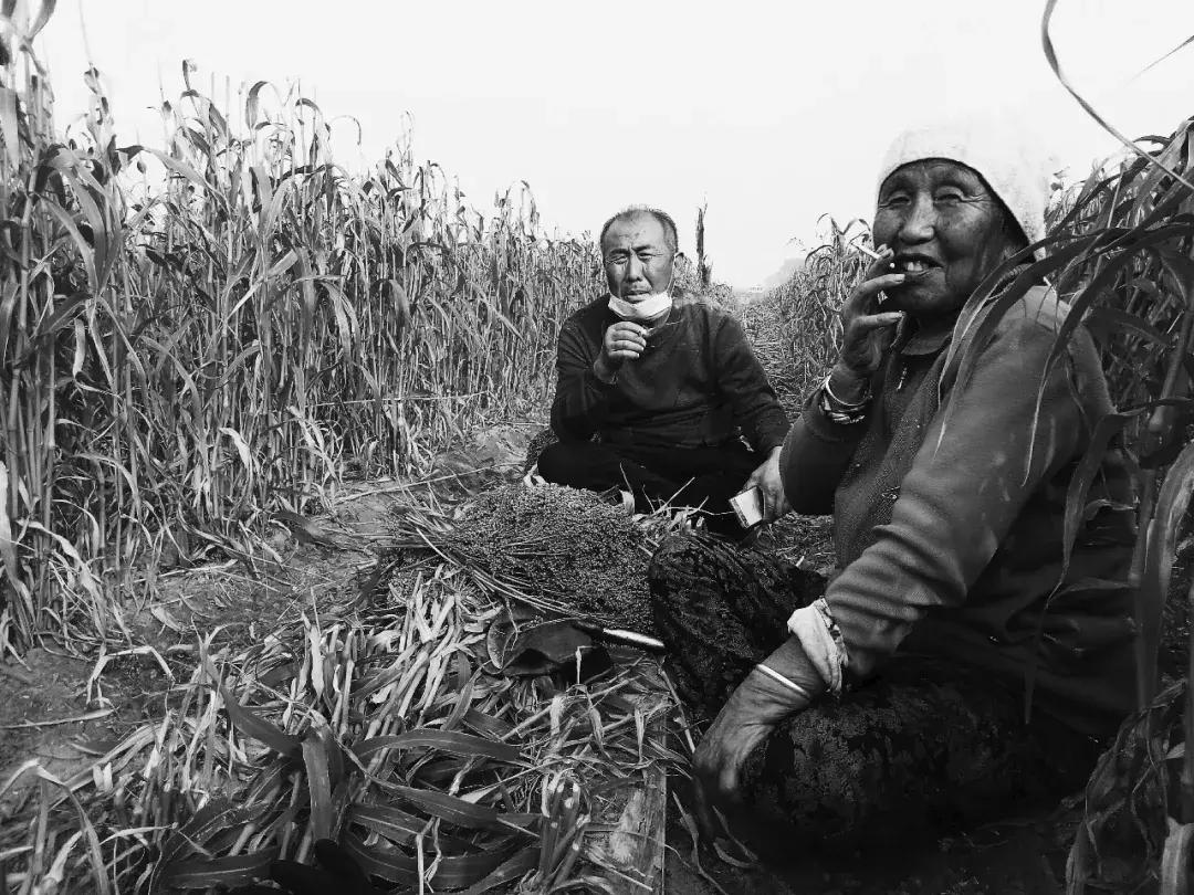 手机摄影大赛十佳作品,第九届世界手机摄影大赛获奖名单