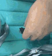 宜家餐椅99跟79元区别,餐椅测评推荐平价品牌