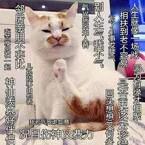 水乳套盒还是分开买,水乳买一套还是混搭好