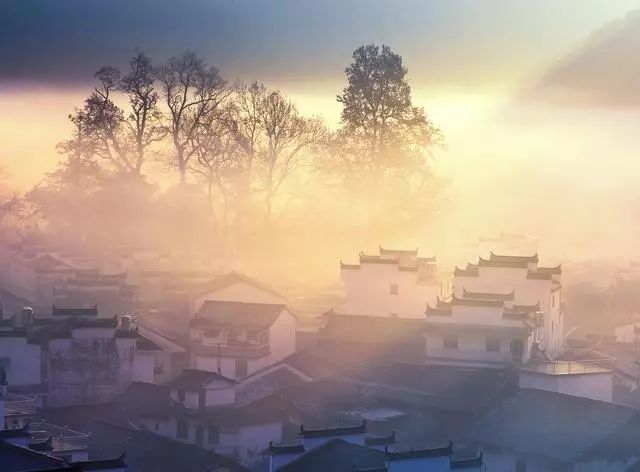 单反相机和手机摄影有什么区别,摄影初学者适合买什么单反相机