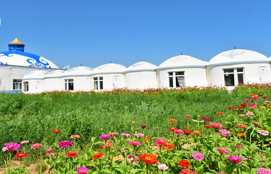 分享I鄂尔多斯少年那达慕，意义非凡的一场研学之旅