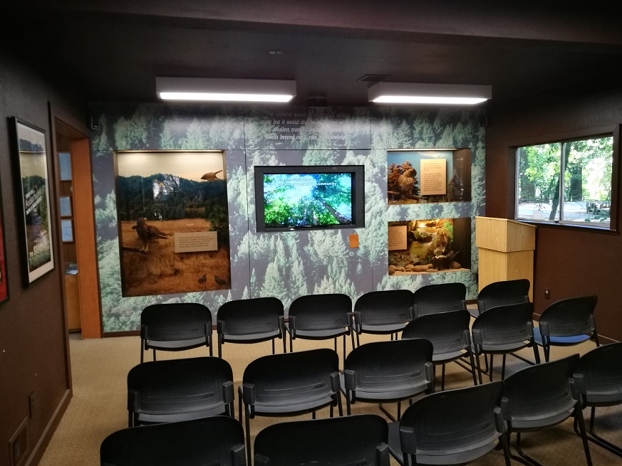 原始森林房车游记,红杉林房车自驾游