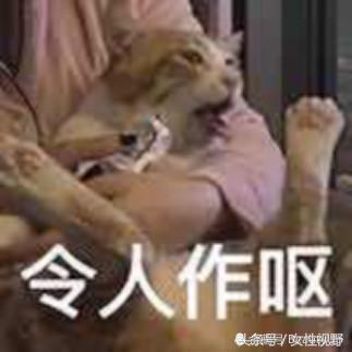 粉饼散粉推荐混干皮,夏天散粉和粉饼哪个好用