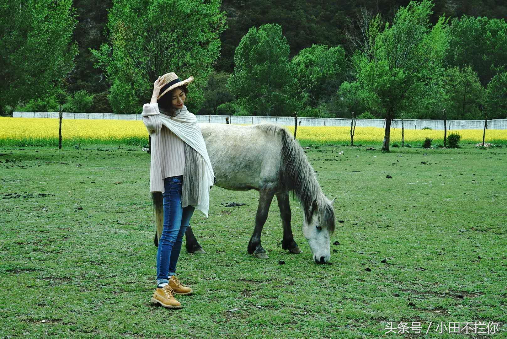 我在意大利的日子,我在意大利完整版