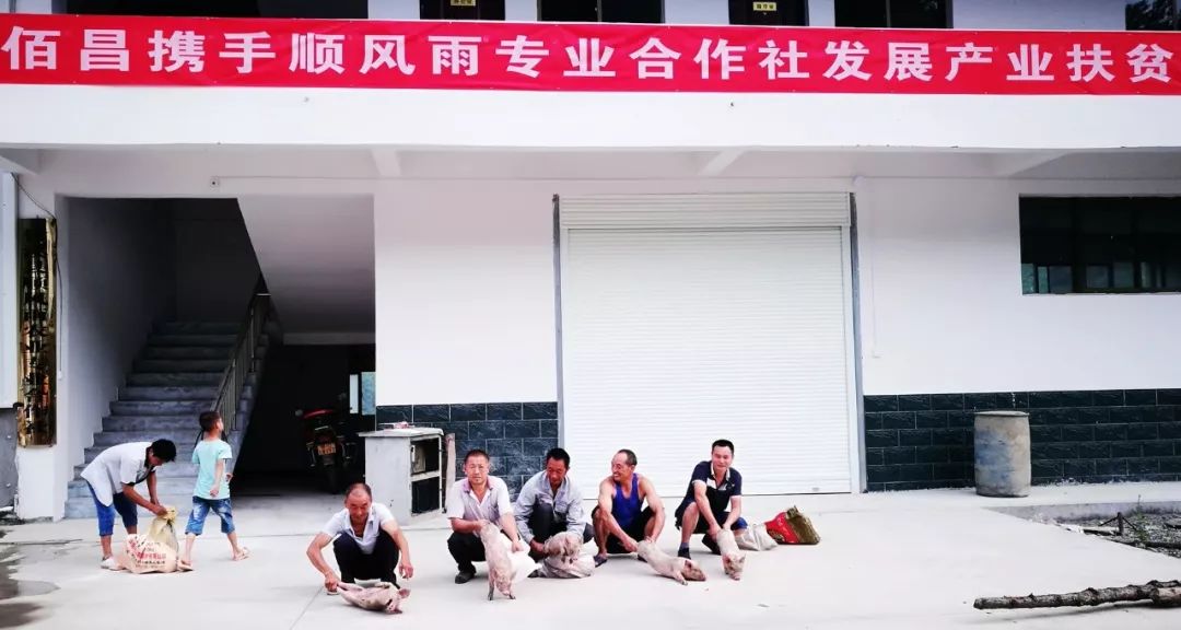 微新闻优秀作品,好风凭借力好雨知时节