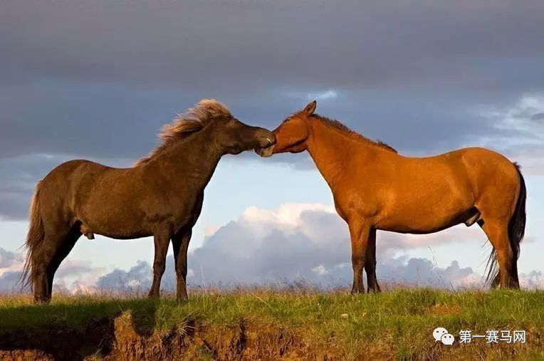 七夕到了单身狗有话要说,七夕快到了准备吃狗粮