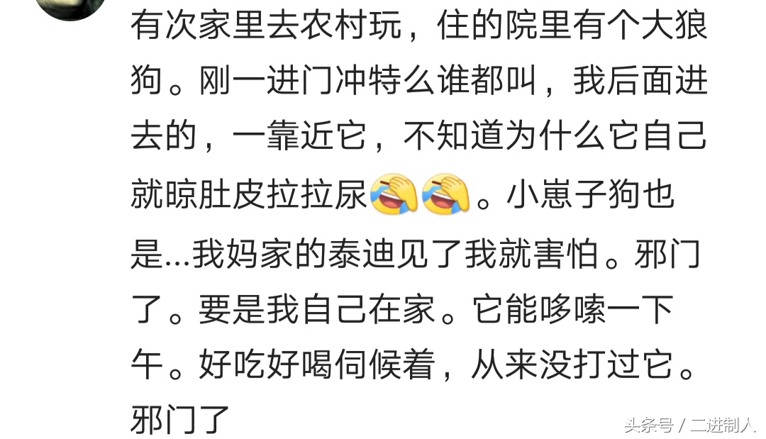 泰迪咬人怎么调节心理,泰迪咬人是它把自己当老大了吗