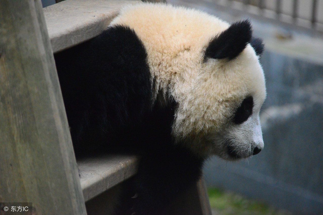 吐槽大会无聊且枯燥,吐槽大会不想上班主题