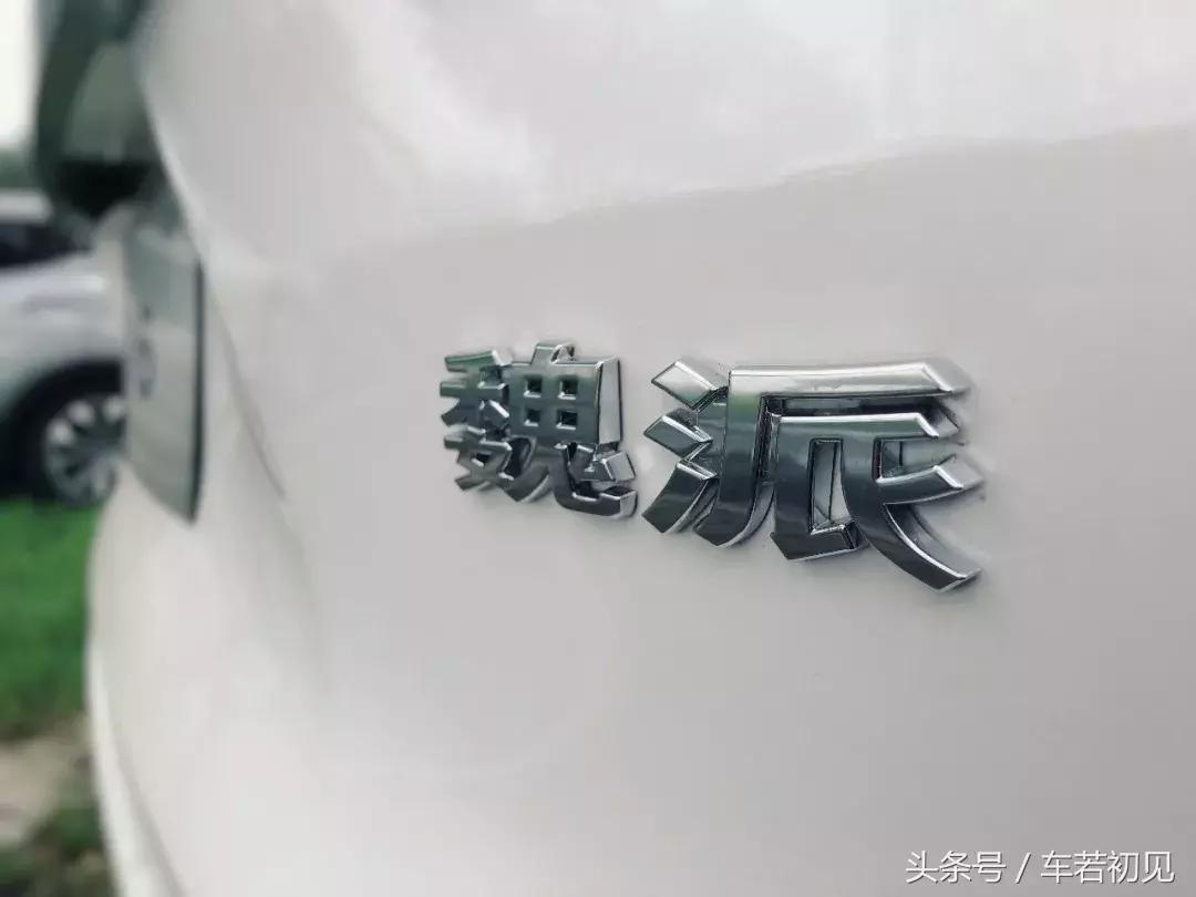 wey魏派vv6汽车侧面图片,魏派weyvv6生命探测演示