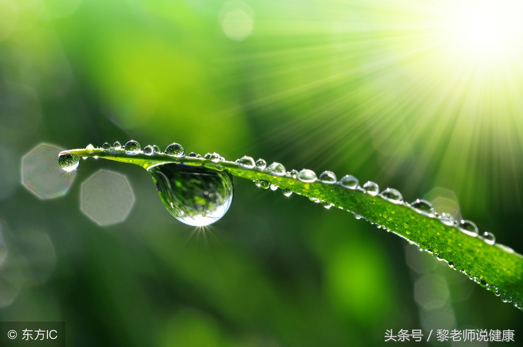 怎么治疗白癜风才能防止白斑复发,吃什么可以改善预防白癜风