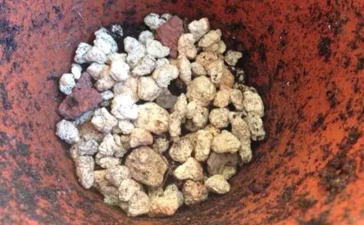 如何防止盆底烂根发生,十种不烂根的盆底垫