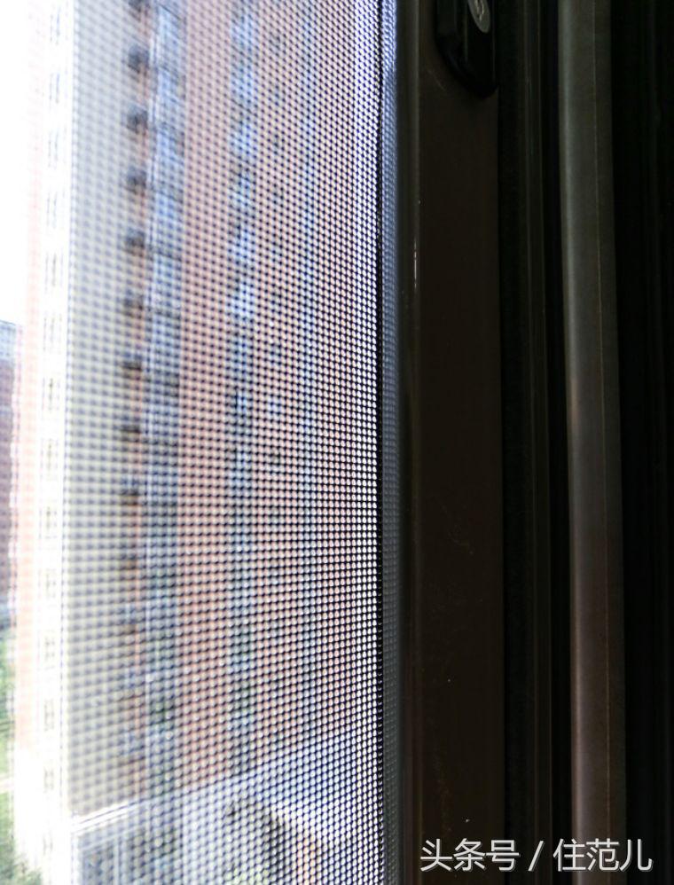 装修对猫咪的影响,怎么减少装修对猫的影响