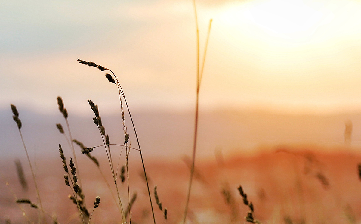 新手入手佳能全画幅6d2,eos6d全画幅