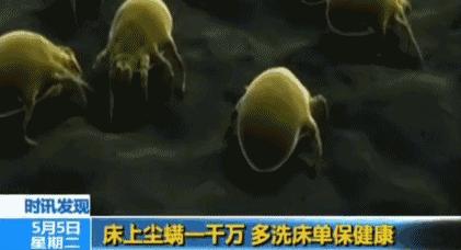 「科普生活」睡衣、床单多久洗一次？超过这个时间，百万螨虫细菌陪你睡