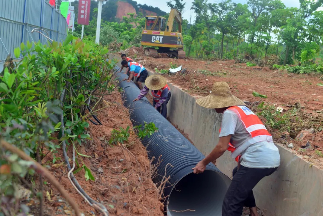 撒花！梧州这几所学校获国字号荣誉，快来看看是哪些校园