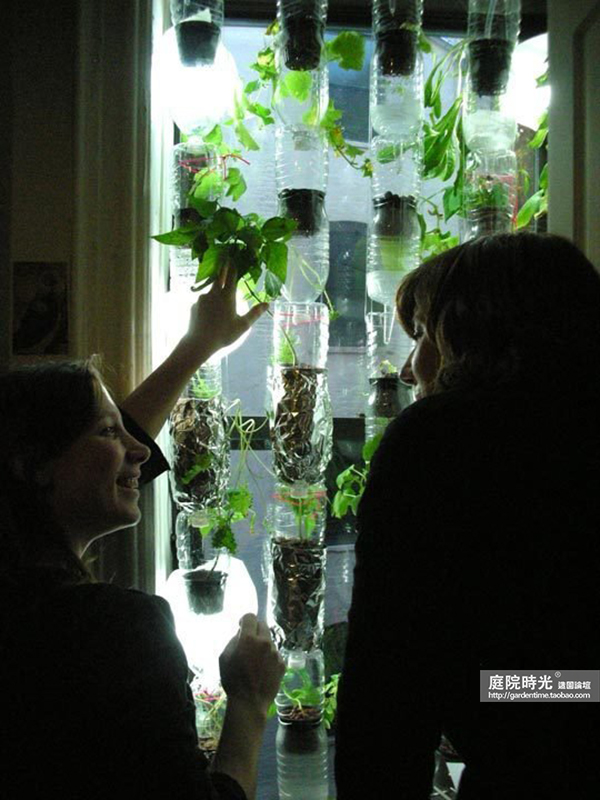 变废为宝自制栽培绿植器皿,塑料瓶创意绿植盆栽旧物利用