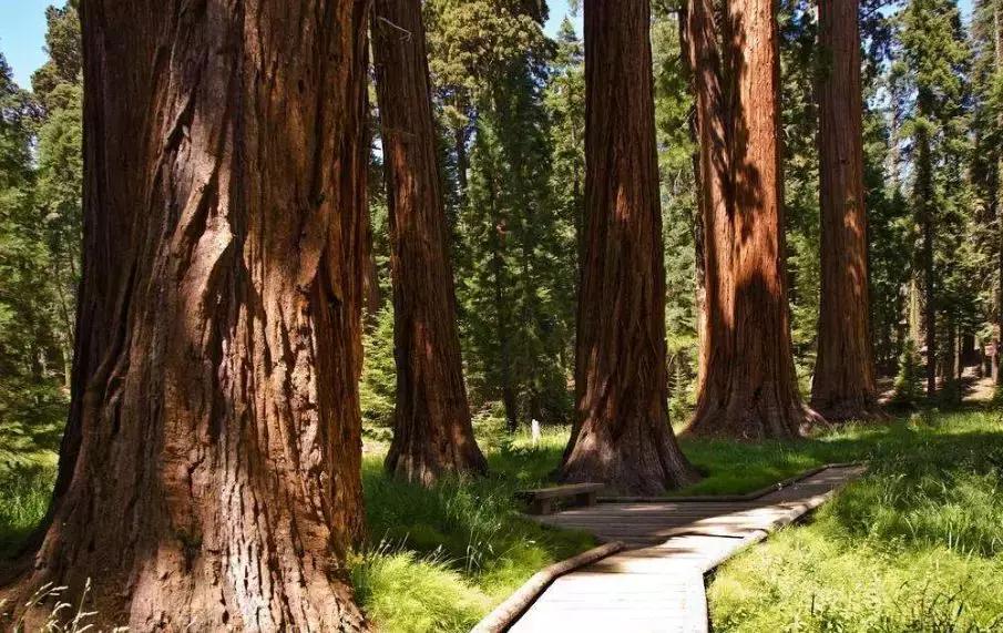 鐧惧彉缇庡啗,鐧惧彉缇庡浗