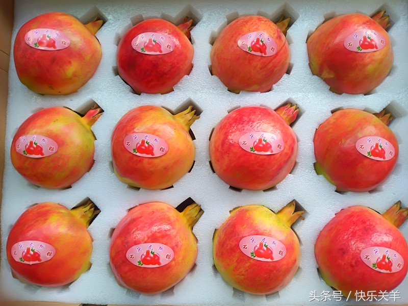 会理石榴之乡突尼斯软籽石榴,会理县软籽石榴之乡