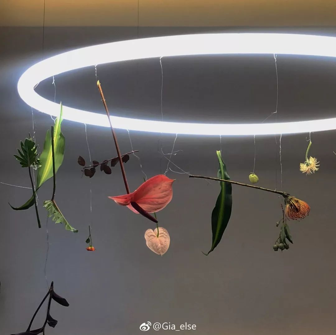 上海十大网红拍照地方,上海有名的摄影博主