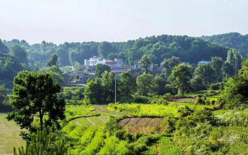 十大贫困县红安县,红安县为啥是贫困县