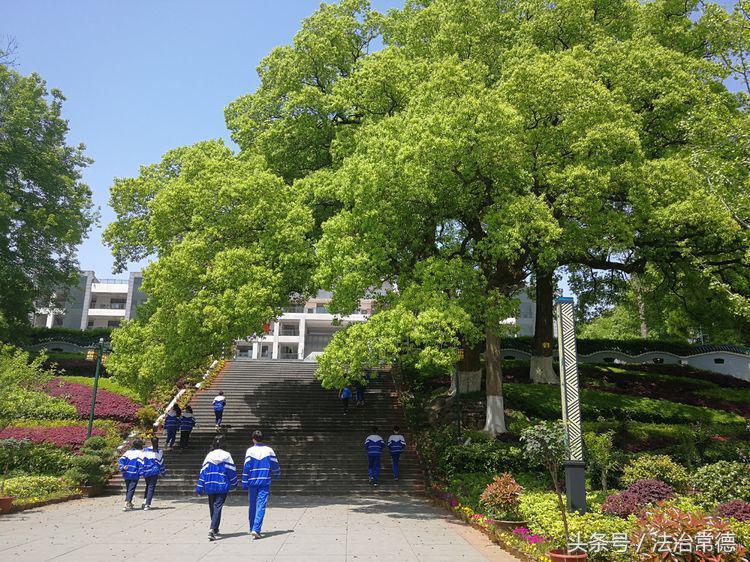 六年来难忘的老师500字作文,六年级难忘恩师