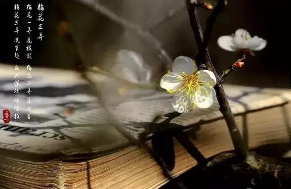 四书五经必背80条名句,四书五经的经典词句