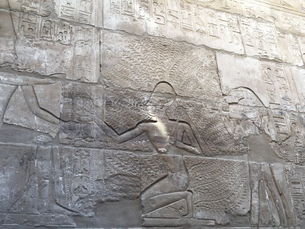 幼年时的梦,年少时的梦原文朗读