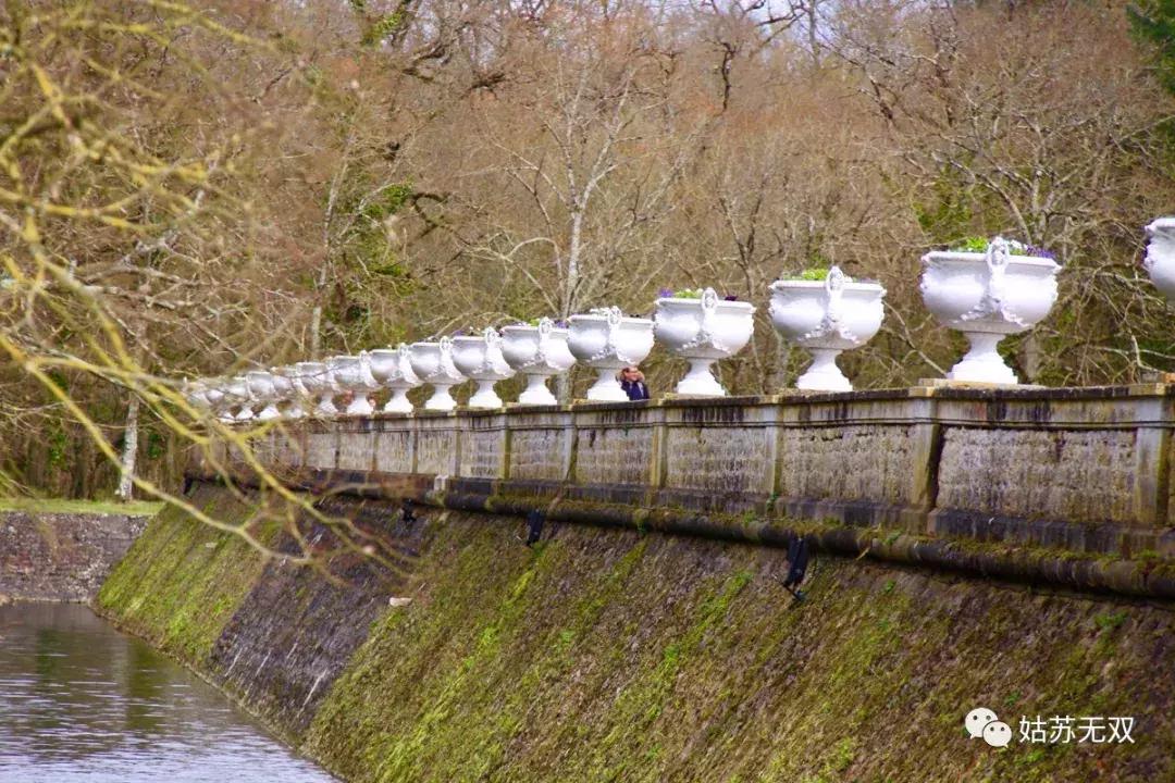 自己没本事还嫌弃老婆,靠妻子上位