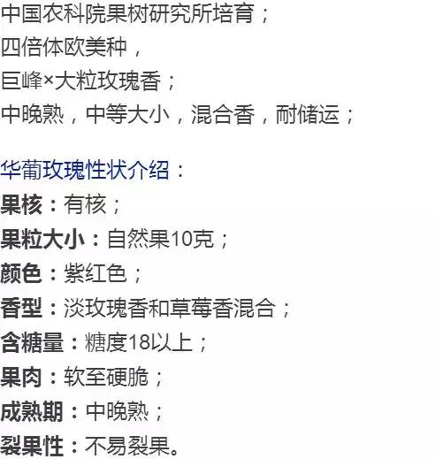 好种又好卖的15个葡萄品种,好种的葡萄苗
