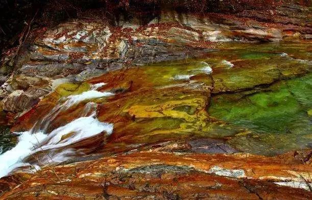 柚子说：松鼠我都没看见，熊猫也没有看见