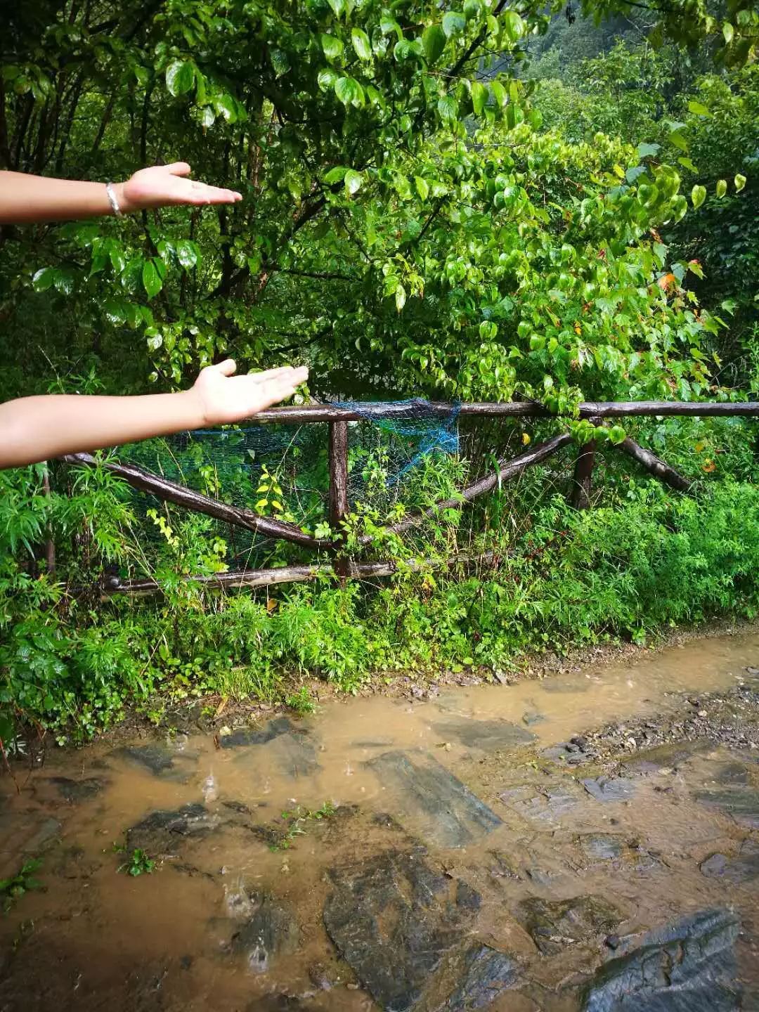 柚子说：松鼠我都没看见，熊猫也没有看见